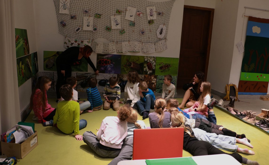 Život v trávě